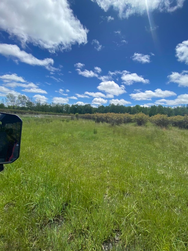 0 62nd St, Grand Junction, MI 49056 - photo 4