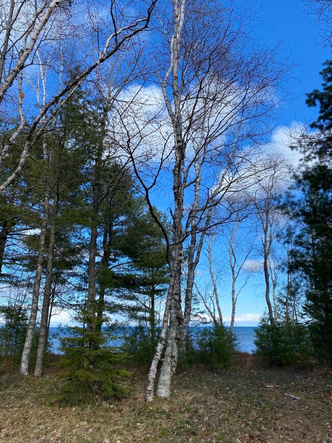 8326 N. M-123, Paradise