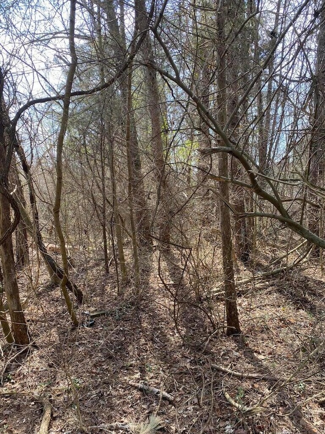 Palisades 2