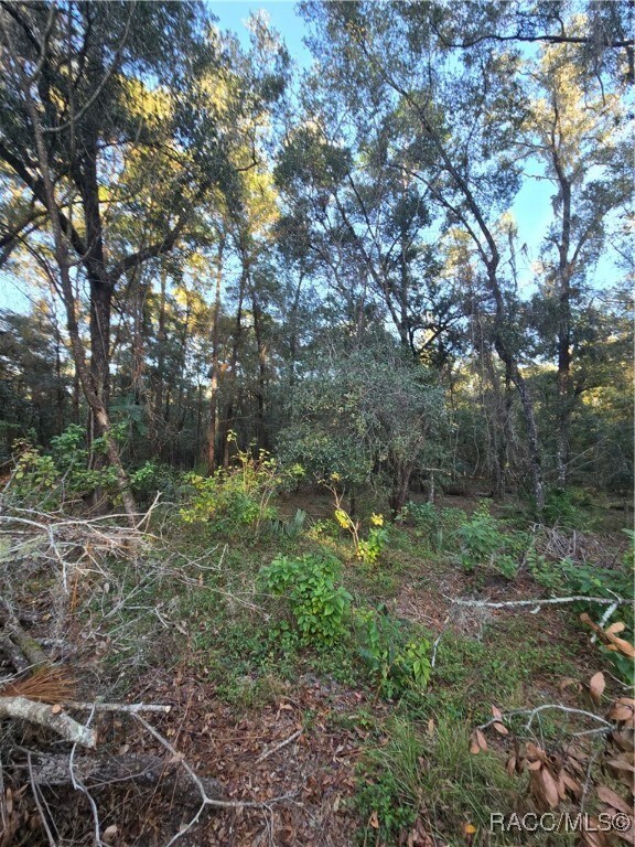 This oversized lot is in an area of high-quality c
