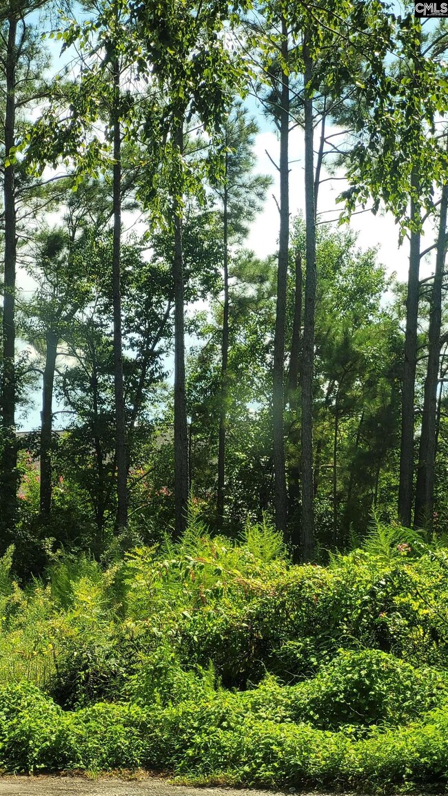 4 Chesapeake Ct, Columbia, SC 29223 - photo 5