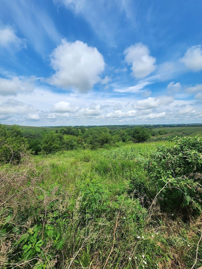 Tbd Mustang Ave, Nelson, MO 65347 - photo 4