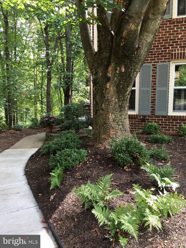 11506 Pine Cone Ct, Reston, VA 20191 - photo 2