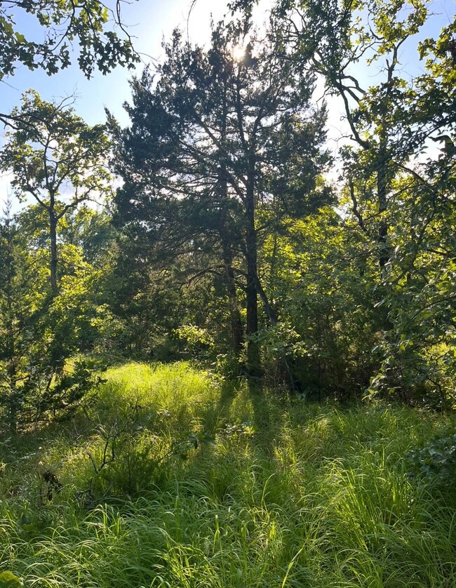 Tract 9B SE 1083 Road Ave, Red Oak, OK 74563 - photo 5