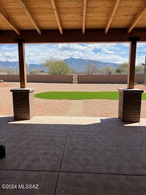 backyard 3