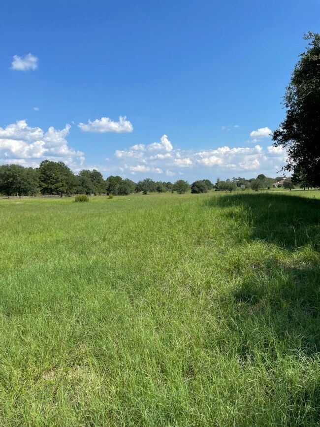 300 Meadow Lake, Magnolia, TX 77355 - photo 4