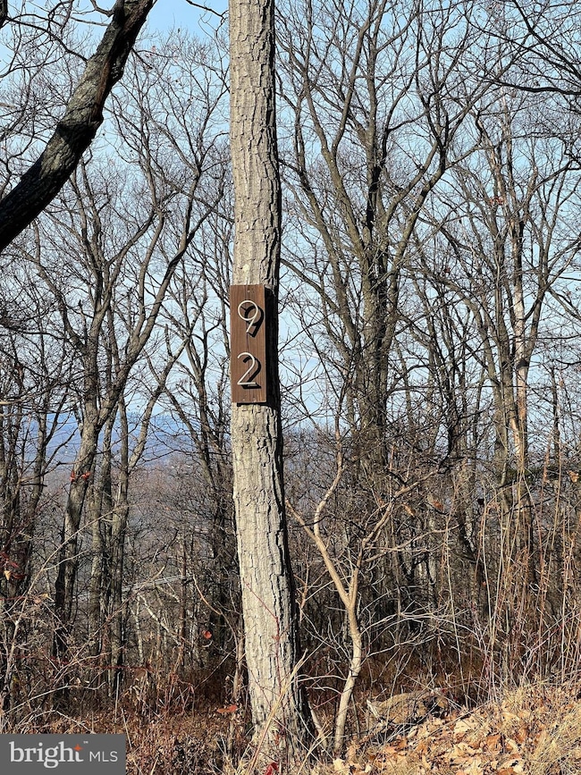 92 Bobcat Trail, Winchester, VA 22602 - photo 4