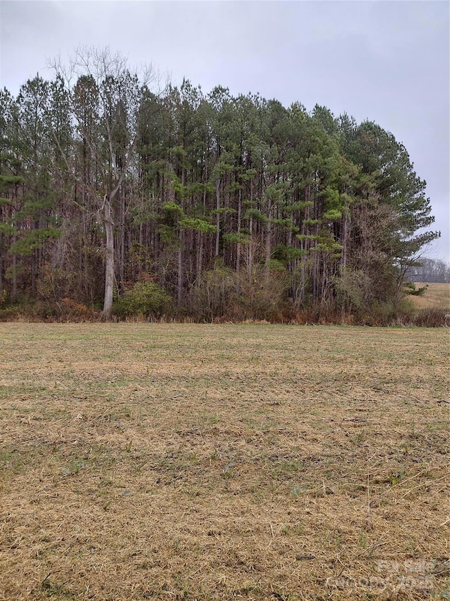 000 Hamlet Rd, Harmony, NC 28634 - photo 2