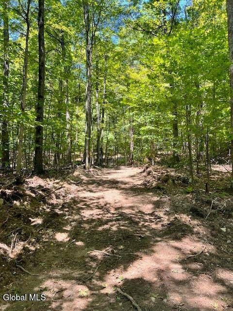 L7.41 Summit Lake Rd unit l7, Argyle, NY 12809 - photo 5