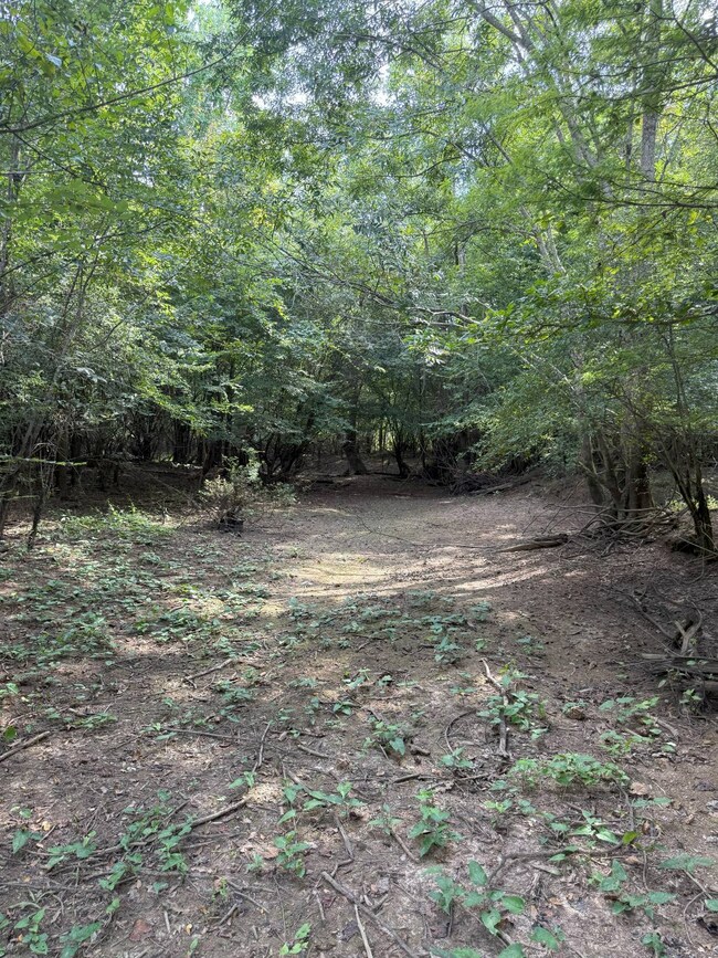 TBD Quitman Hwy, Hodge, LA 71268 - photo 2