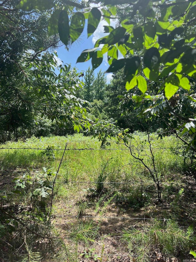 0000 Burnt Ridge Rd, Shirley, AR 72153 - photo 3