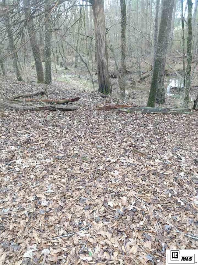 2457 Brownlee Rd unit Tract A, Calhoun, LA 71225 - photo 3