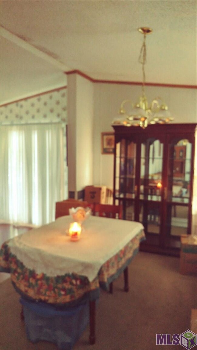 36165 Reinninger Rd, Denham Springs, LA 70706 - photo 7