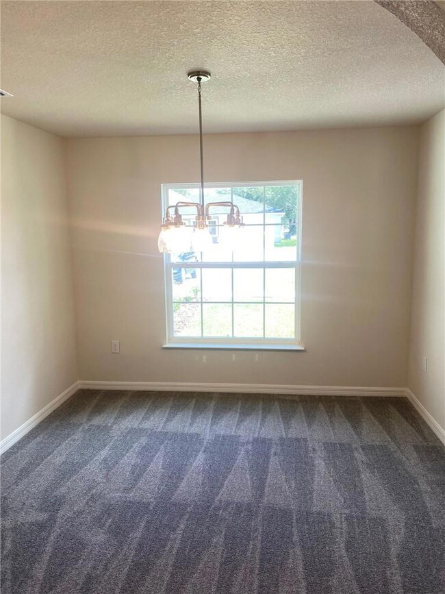 3996 SW 130th Loop, Ocala, FL 34473 - photo 6