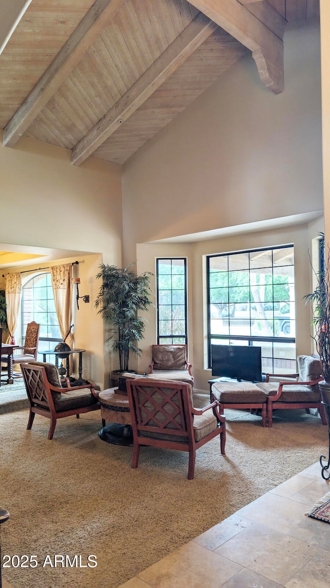 10731_E_Fanfol_Ln_01