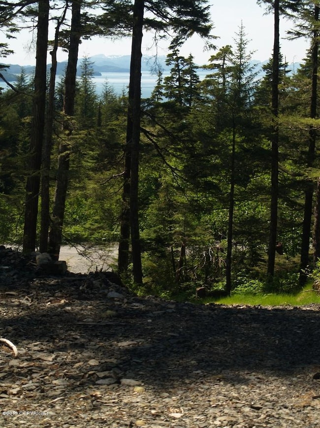 101 Cabin Ridge Rd, Cordova, AK 99574 - photo 7