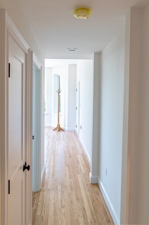 79 Fort Ave unit 1, Roxbury, MA 02119 - photo 7