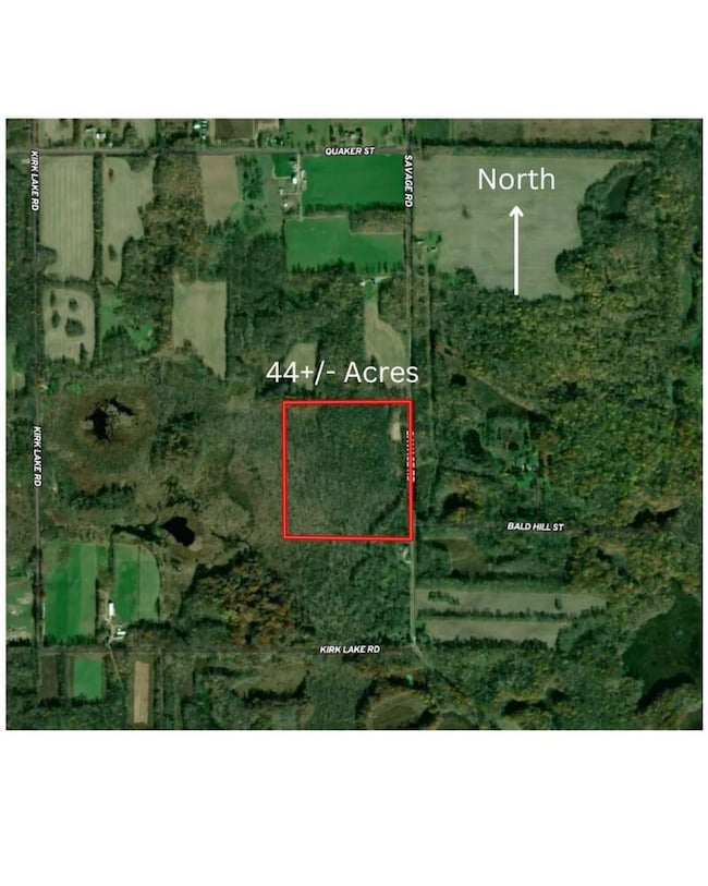 59064 Savage Rd, Vandalia, MI 49095 - photo 7