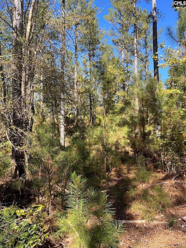 DRF 4 Dawkins Rd unit DRF 4, Pacolet, SC 29372 - photo 3