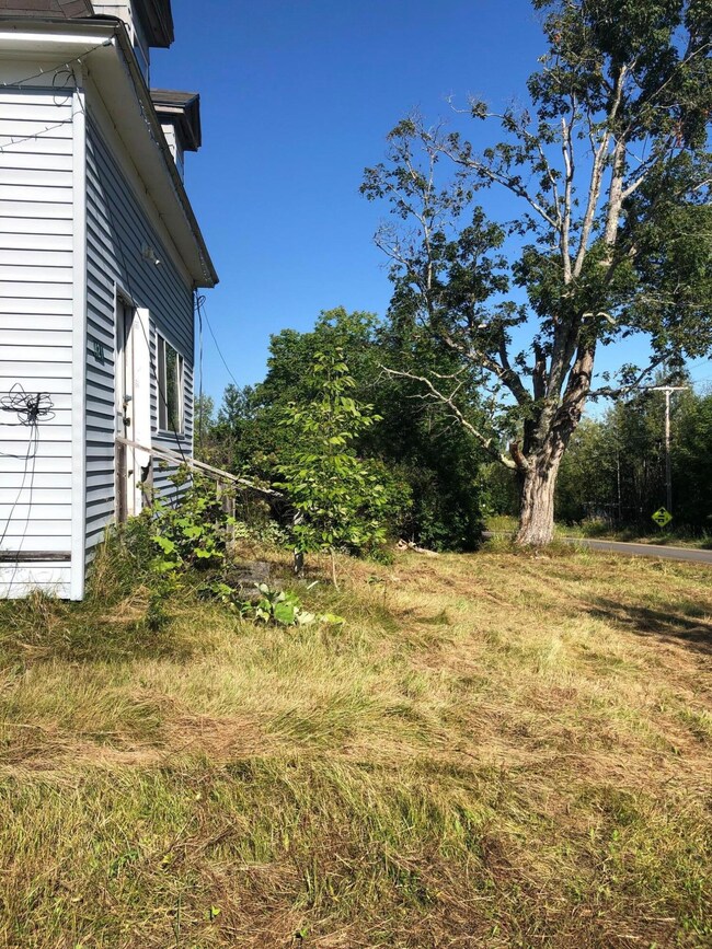East Side Yard View