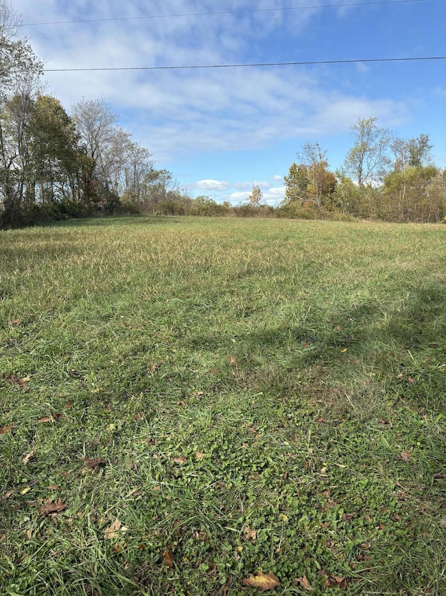 Pine Grove Ch Spur Rd, Vanceburg, KY 41179 - photo 7