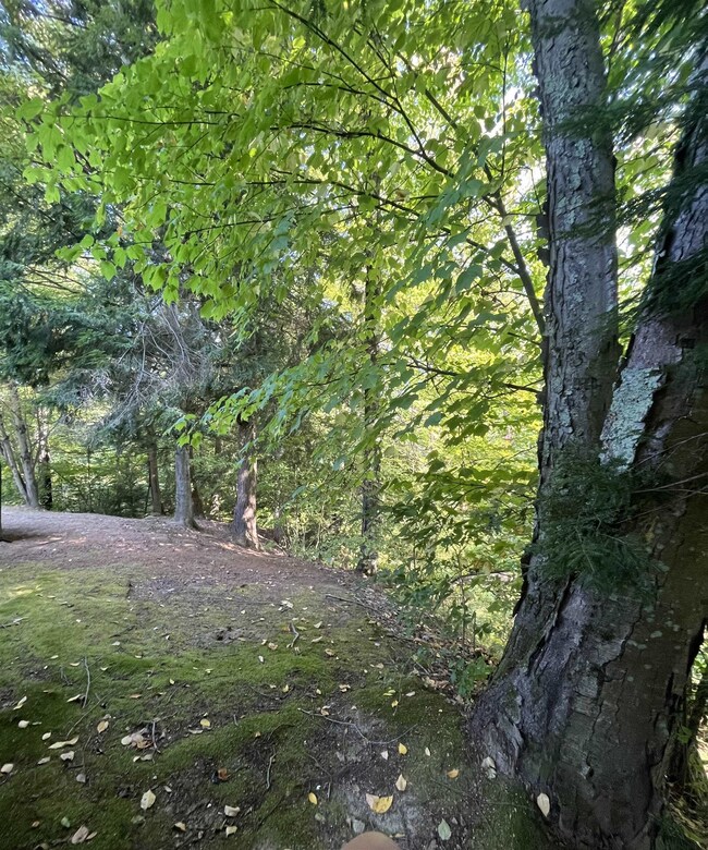 137 Morways Park, Charlestown, NH 03603 - photo 5