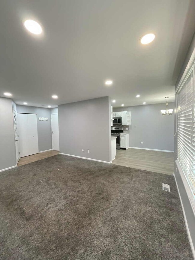 690 Thorntree Ct unit D1, Bartlett, IL 60103 - photo 3