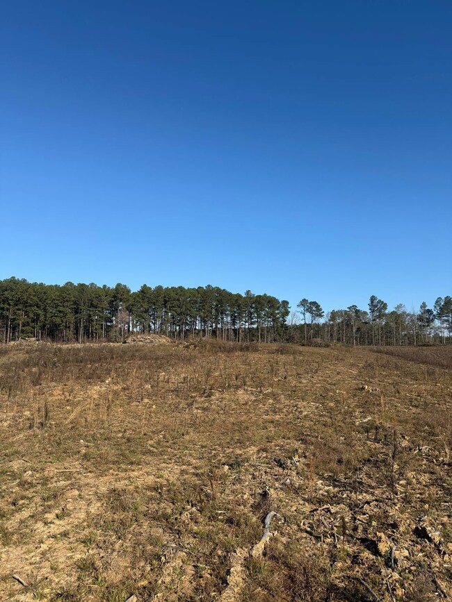 Hwy 397 S, Louisville, MS 39339 - photo 6