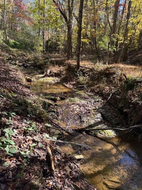View of undeveloped land