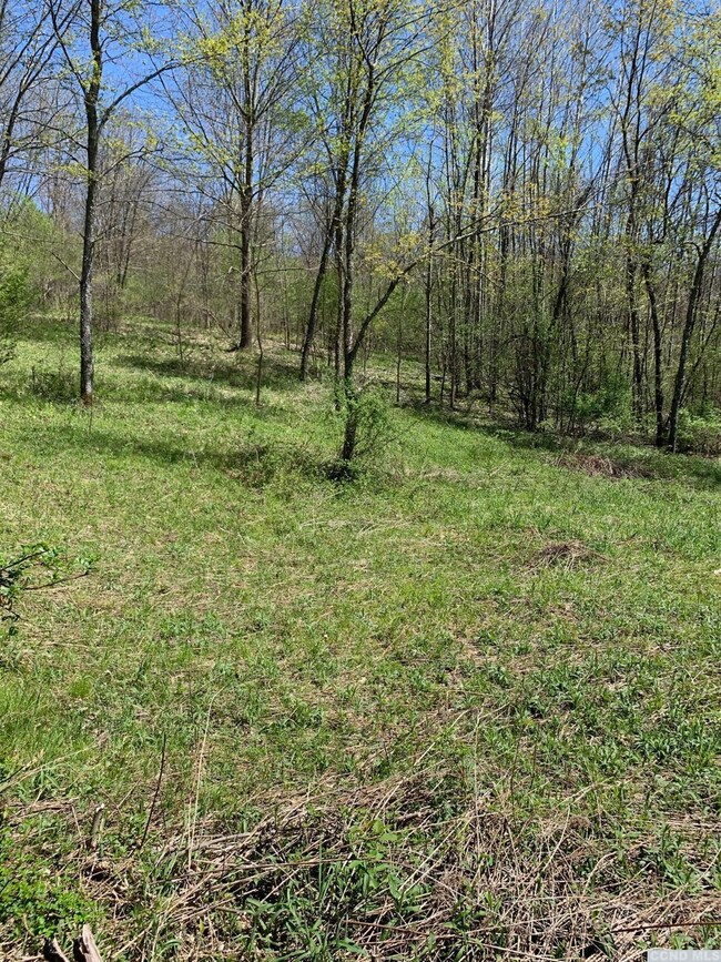 0 Goetz Rd, Canaan, NY 12060 - photo 5