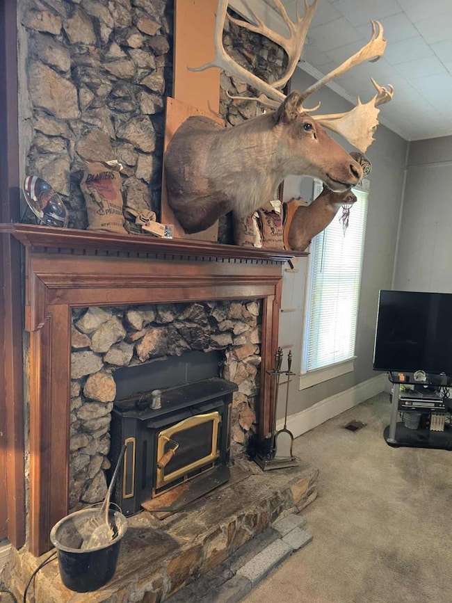 613 W Central Ave, Fitzgerald, GA 31750 - photo 6