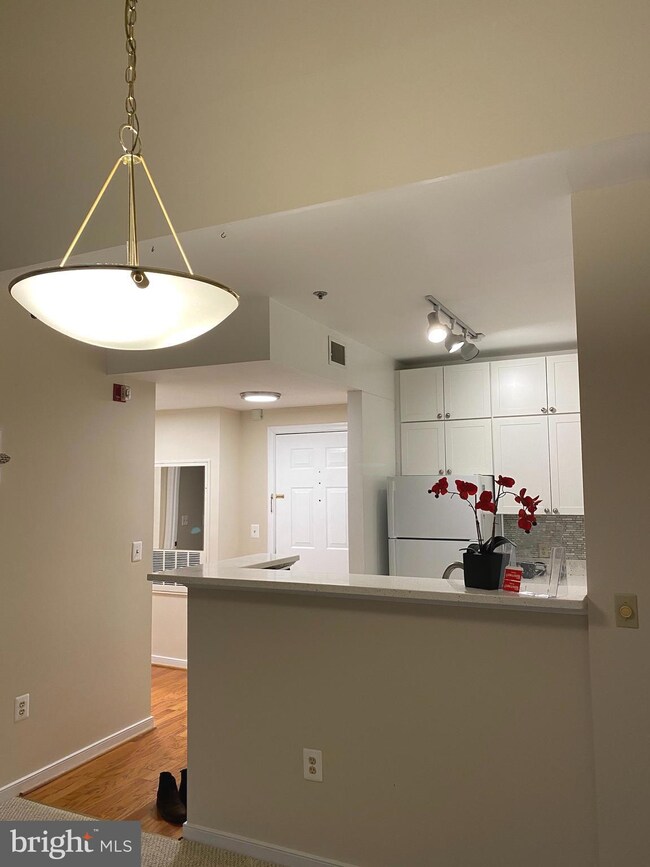 Lillian Court unit 415, McLean, VA 22102 - photo 2