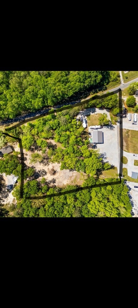 44 Hush Rd, Waterloo, SC 29384 - photo 7