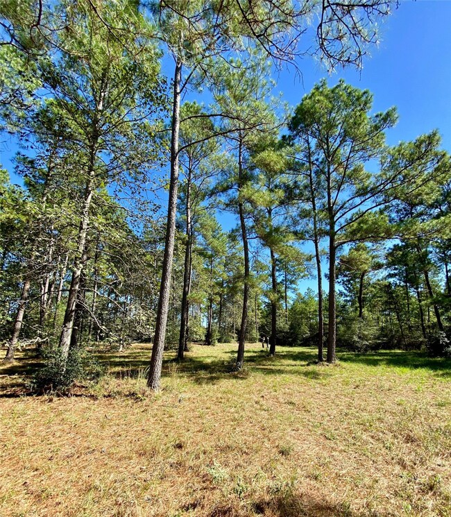 000 Tudor Way, Magnolia, TX 77355 - photo 2