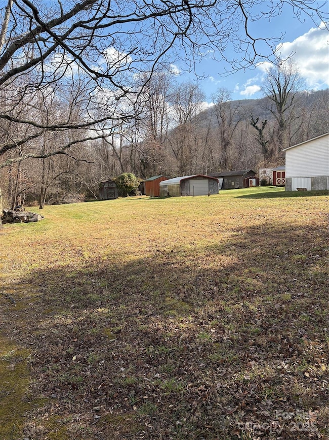 99999 Lytle Cove Rd, Black Mountain, NC 28711 - photo 4