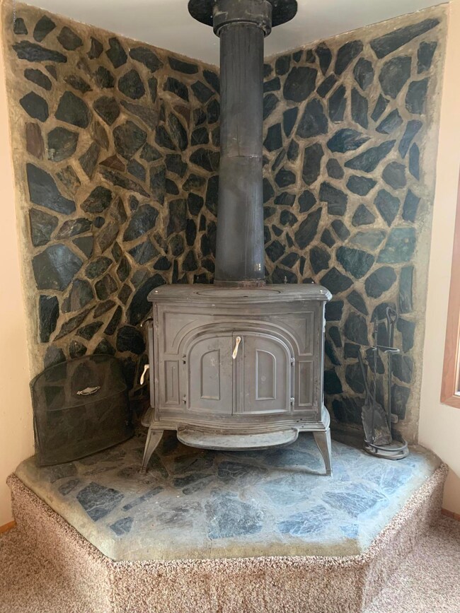 Wood Stove