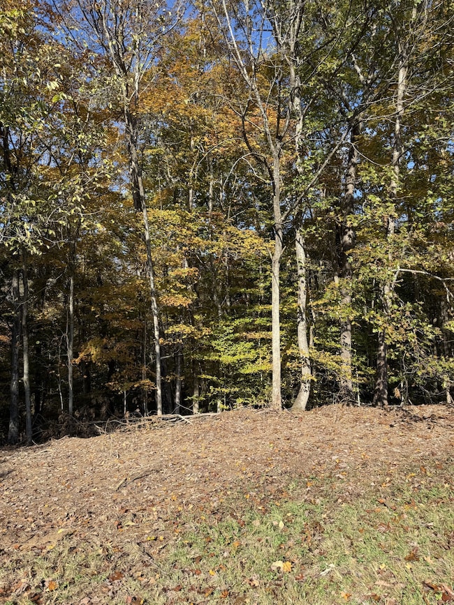 0 Collins Rd, Allons, TN 38541 - photo 3