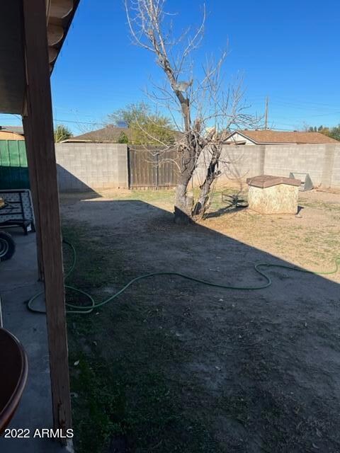 Solano back yard