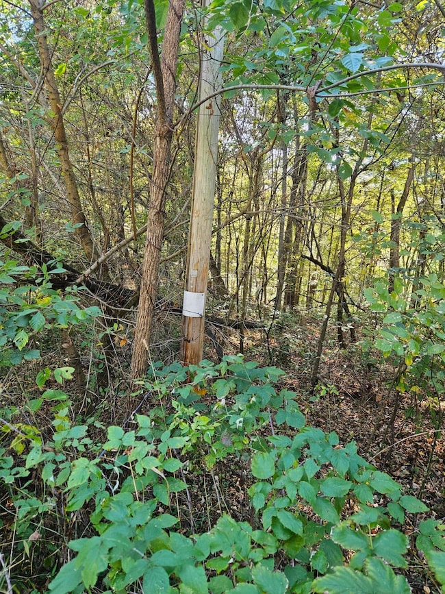 Neighboring property