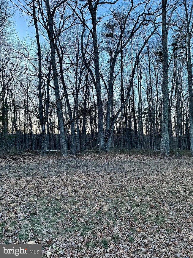 23 Twin Lakes Dr, Berkeley Springs, WV 25411 - photo 5