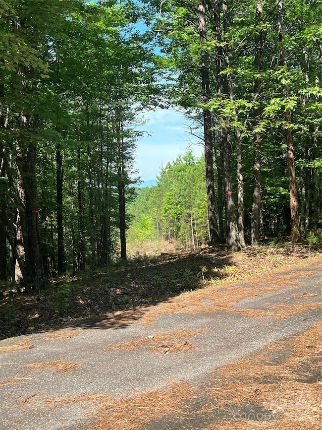 0 S Mountain Dr unit 16 CAR4256054, Nebo, NC 28761 - photo 7