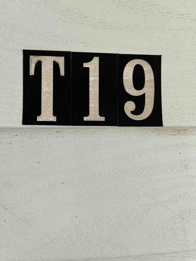 T19