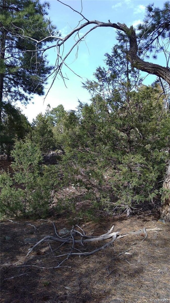 13 Costilla Place unit 12, 13, 14, Mosca, CO 81146 - photo 5