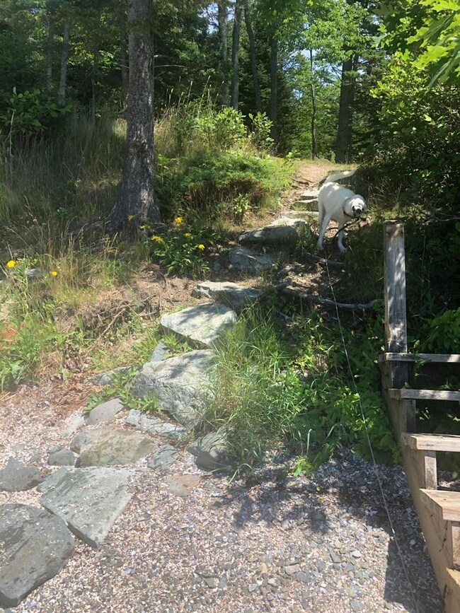 Your Trail to the Shore