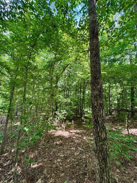 125 Pawpaw Trail, Broken Bow, OK 74728 - photo 4