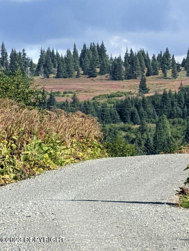 32680 Regal St, Anchor Point, AK 99556 - photo 2