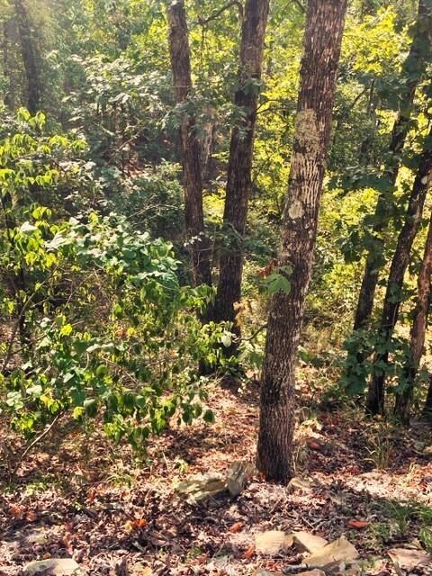 132 Western Cedar Trail, Hochatown, OK 74728 - photo 6