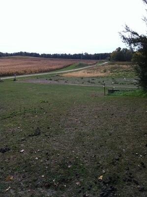 15249 1650 North Ave, Princeton, IL 61356 - photo 4