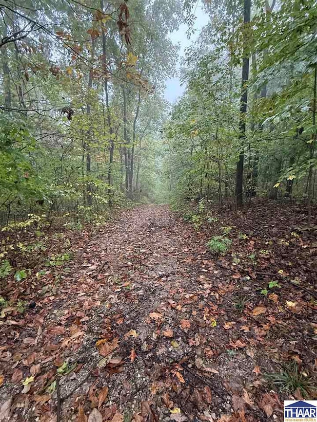 9540 N Bowman Rd, Gosport, IN 47433 - photo 6