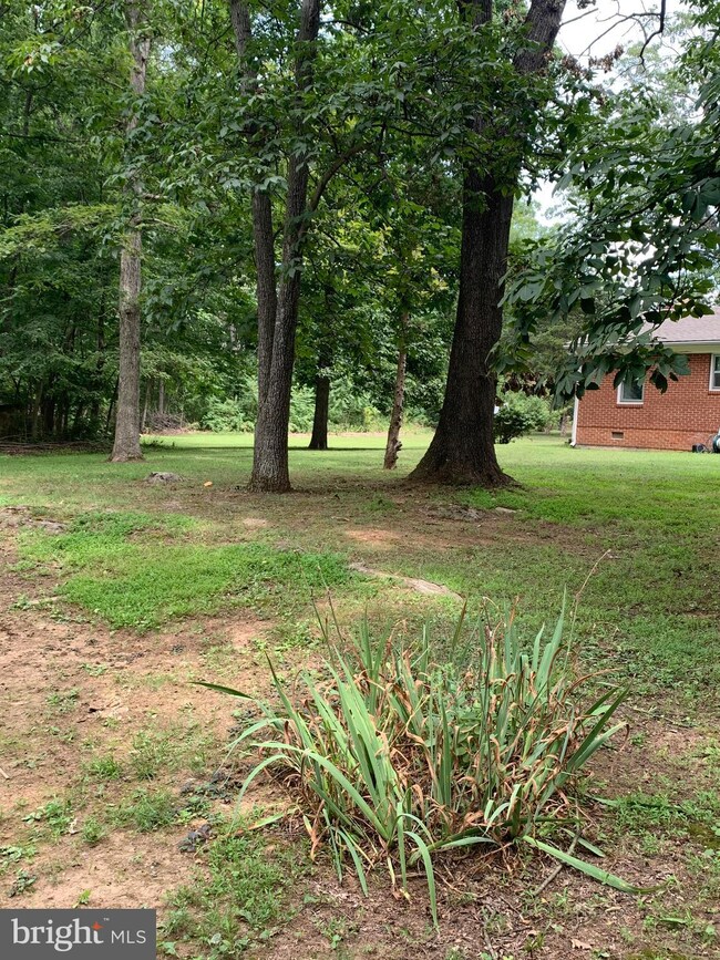 2085 Crums Church Rd, Berryville, VA 22611 - photo 5